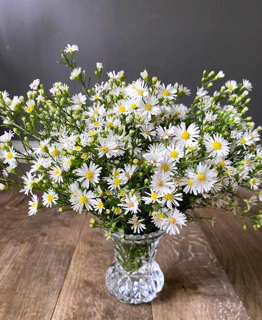 Load image into Gallery viewer, Easter Daisy Haul
