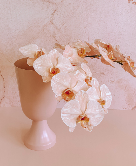 Luxe Orchids + Chalice Vase