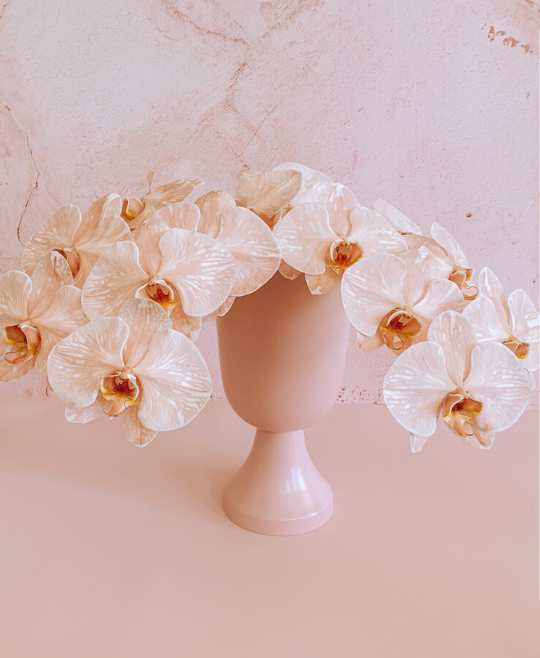 Luxe Orchids + Chalice Vase
