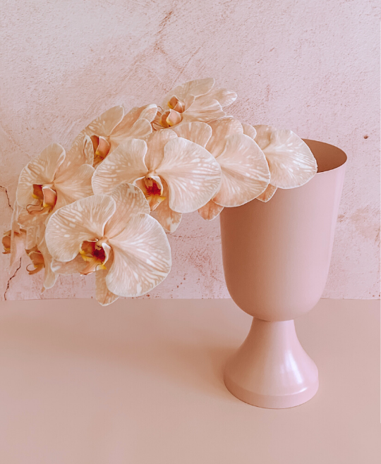 Luxe Orchids + Chalice Vase