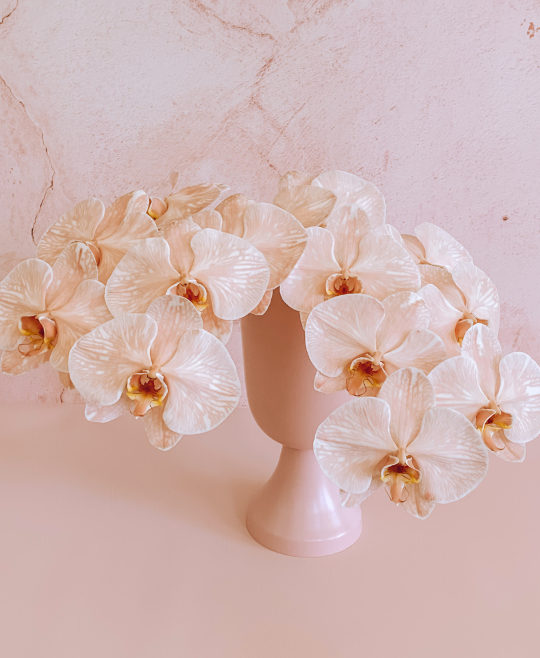 Luxe Orchids + Chalice Vase