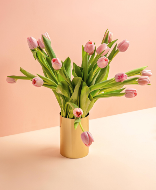 Same-Day Tulip Haul