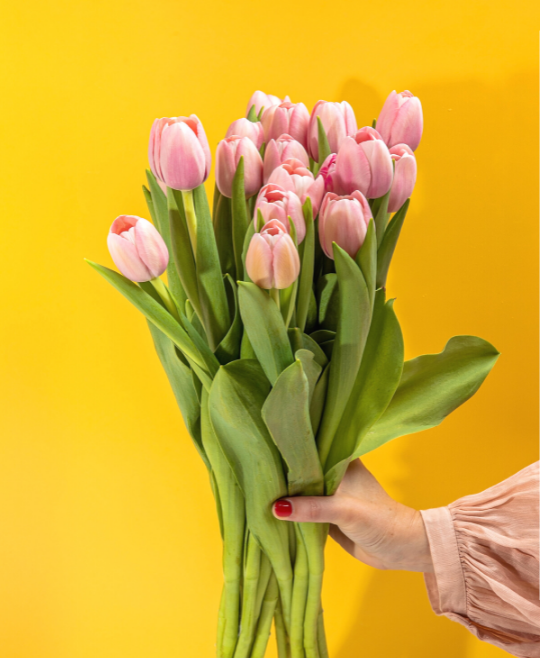 Same-Day Tulip Haul